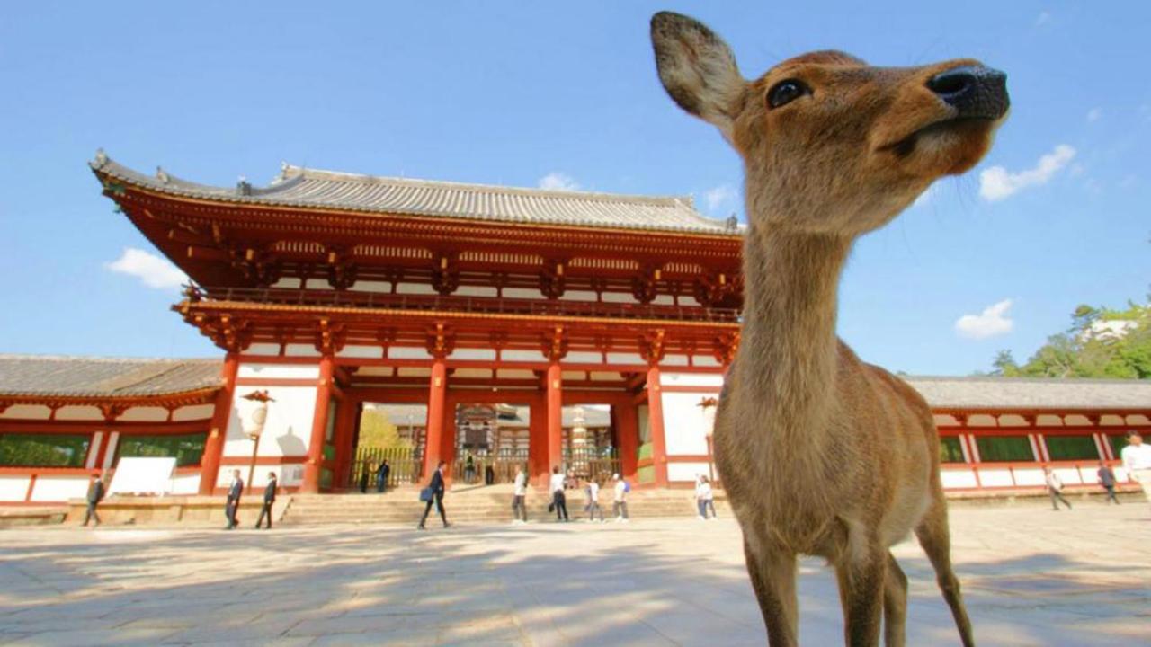 中川西 地下鉄今里駅一戸建 Samurai House Guest House Imazato 難波直通 最大7名 Ósaka Exteriér fotografie